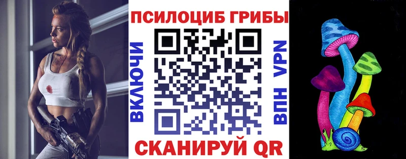 закладка  Гуково  Галлюциногенные грибы MAGIC MUSHROOMS 